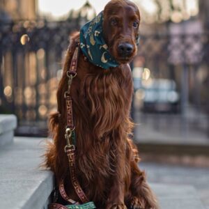 smycz obroża słowiański las bordo zielony freddie and wolf slavic forest leash and collar dark red green