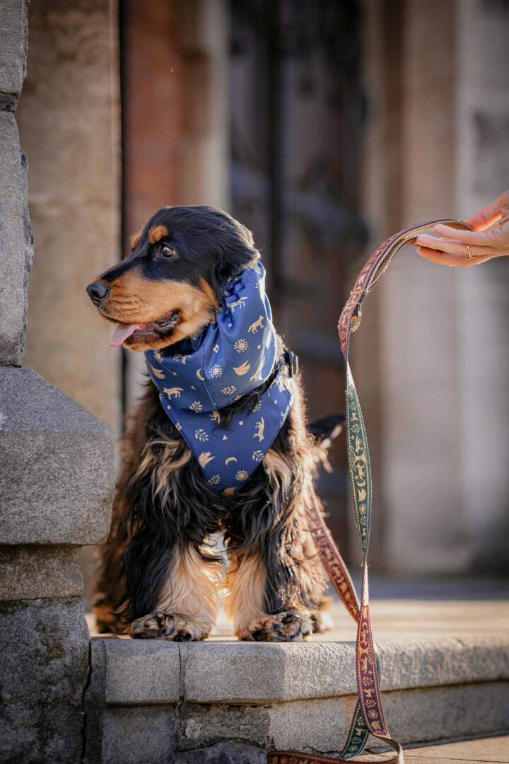Słowiański las snood szelki smycz obroża Freddie and Wolf Schowaj Uszy (1) smycz szelki snood obroża słowiański las bordo zielony szafir freddie and wolf slavic forest leash and dog harness and snood dark red green and blue