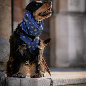 smycz szelki snood obroża słowiański las bordo zielony szafir freddie and wolf slavic forest leash and dog harness and snood dark red green and blue