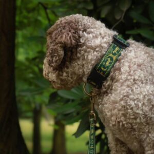 obroża dla psa dog collar green zielona słowiański las slavic forest