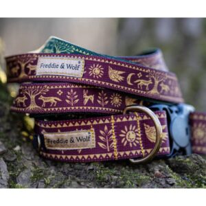 obroża smycz słowiański las seter irlandzki slavic forest collar and leash