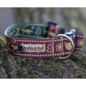 obroża smycz słowiański las seter irlandzki slavic forest collar and leash