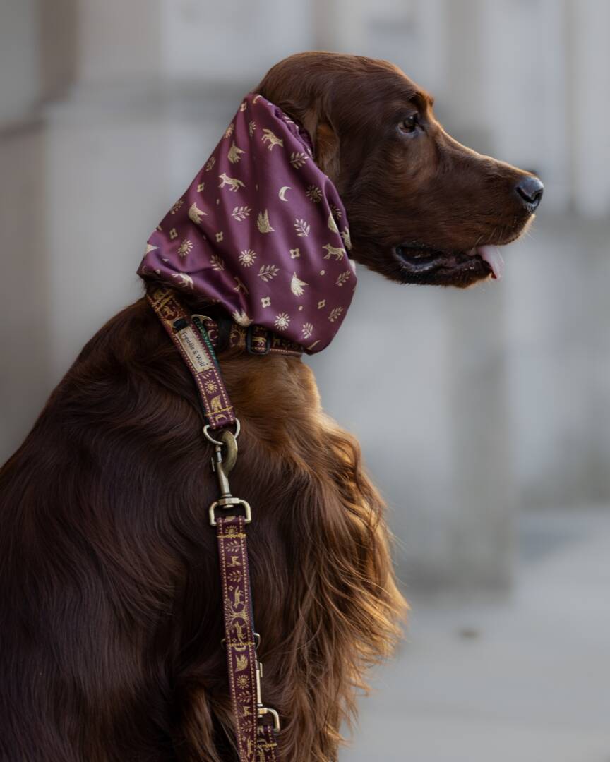 snood smycz obroża slowianski las slavic forest fredie and wolf (1) snood smycz obroża slowianski las slavic forest fredie and wolf