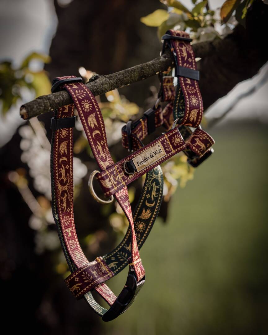 szelki guard słowiański las bordo slavic forest guard harness