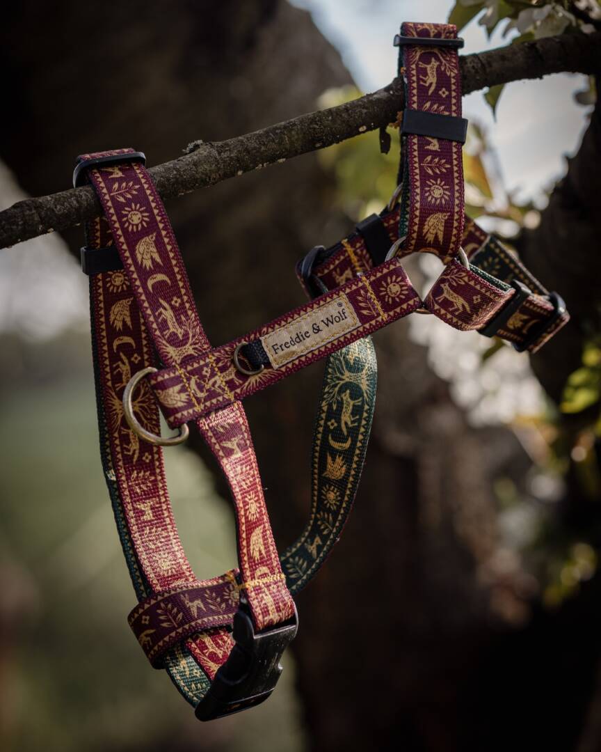 szelki guard słowiański las bordo slavic forest guard harness