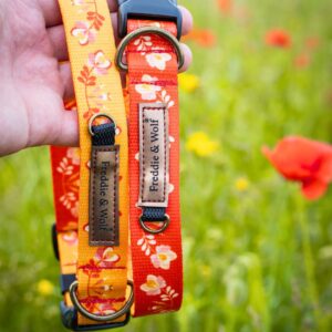 obroża na klamrę flores summer czerwone kwiaty