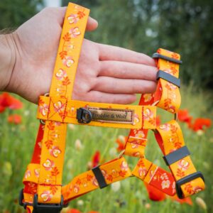 szelki guard flores summer czerwone kwiaty