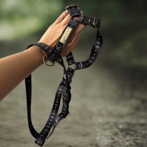 dłonie mokosz smycz obroże szelki hands of mokosz dog leash collar guard harness