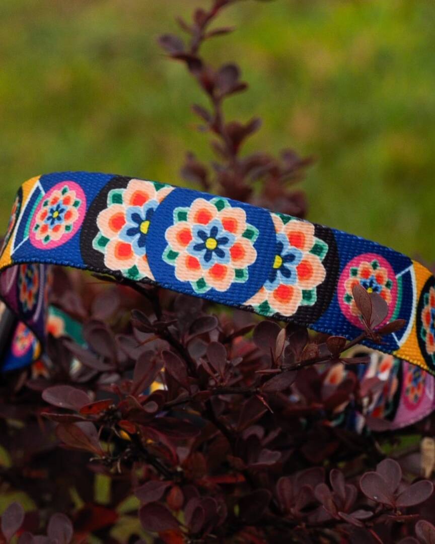 obroża klamra seoul harmony lila i granat (1)