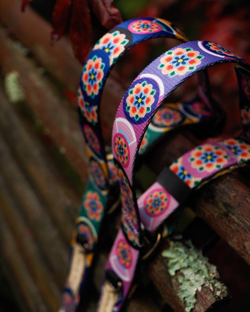 obroża półzacisk seoul harmony lila i granat (1)