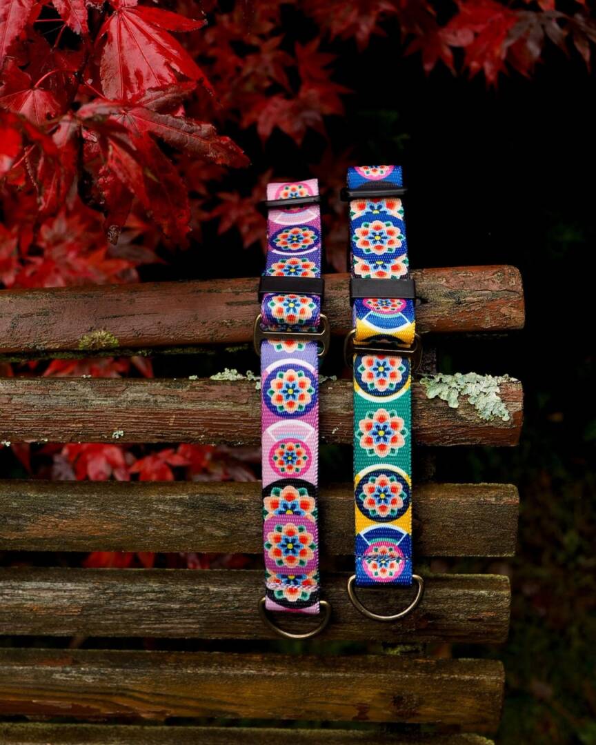 obroża półzacisk seoul harmony lila i granat (5) półzaciskowa obroża seoul harmony granat