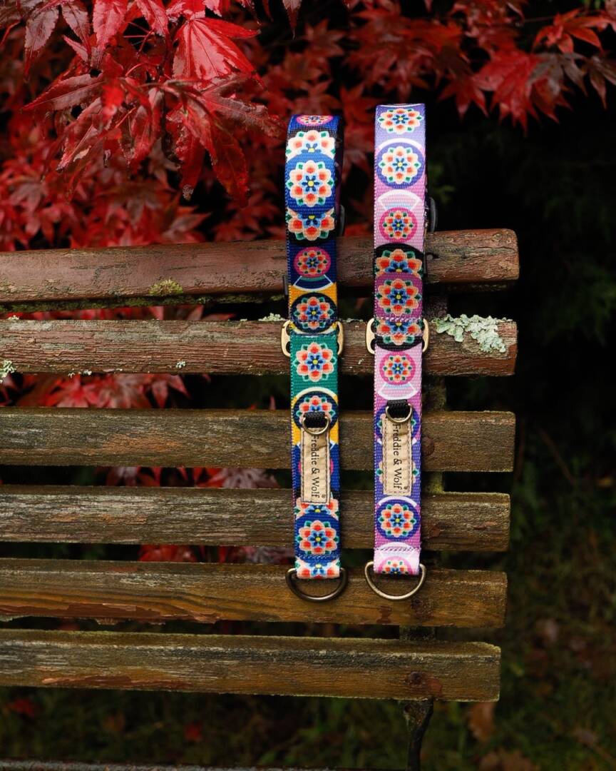 obroża półzacisk seoul harmony lila i granat (6) półzaciskowa obroża seoul harmony granat