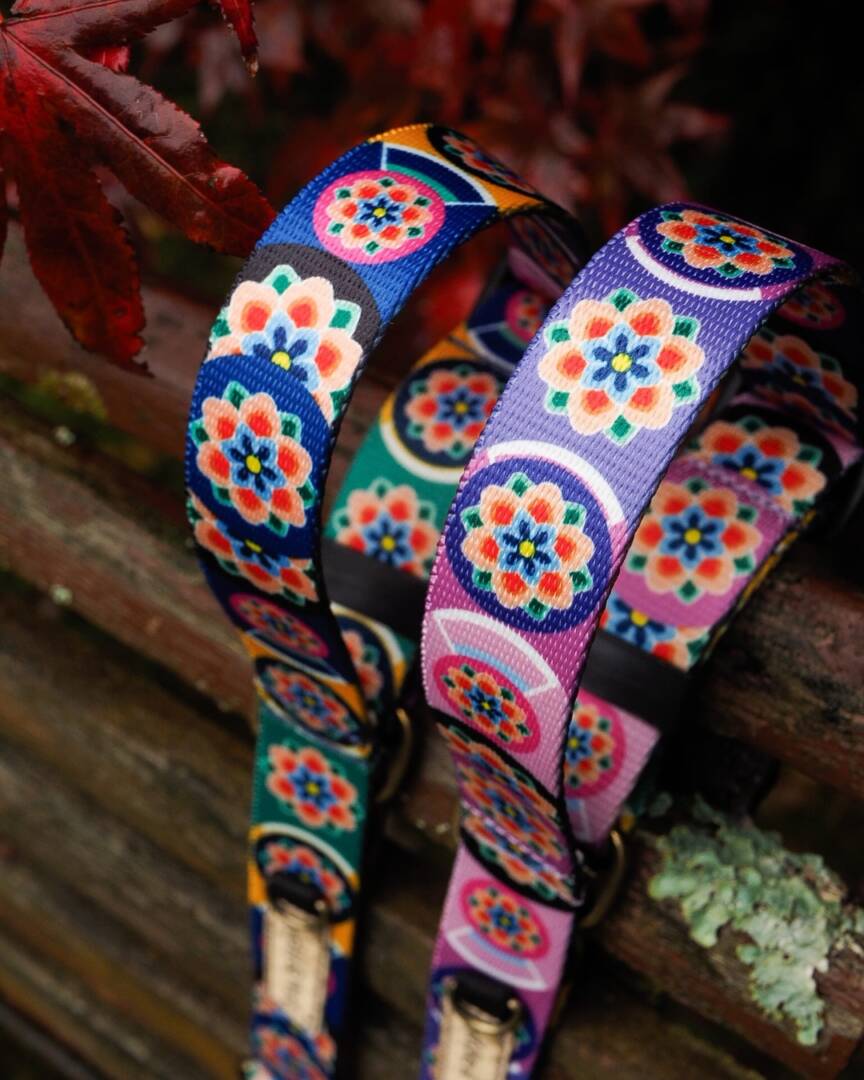 obroża półzacisk seoul harmony lila i granat (7) półzaciskowa obroża seoul harmony granat