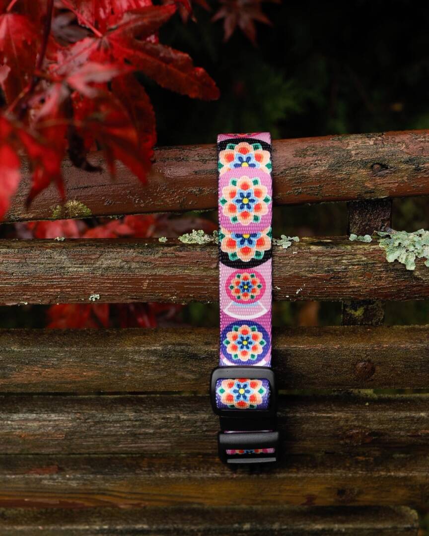 obroża półzacisk seoul harmony lila i granat (8) półzaciskowa obroża seoul harmony granat