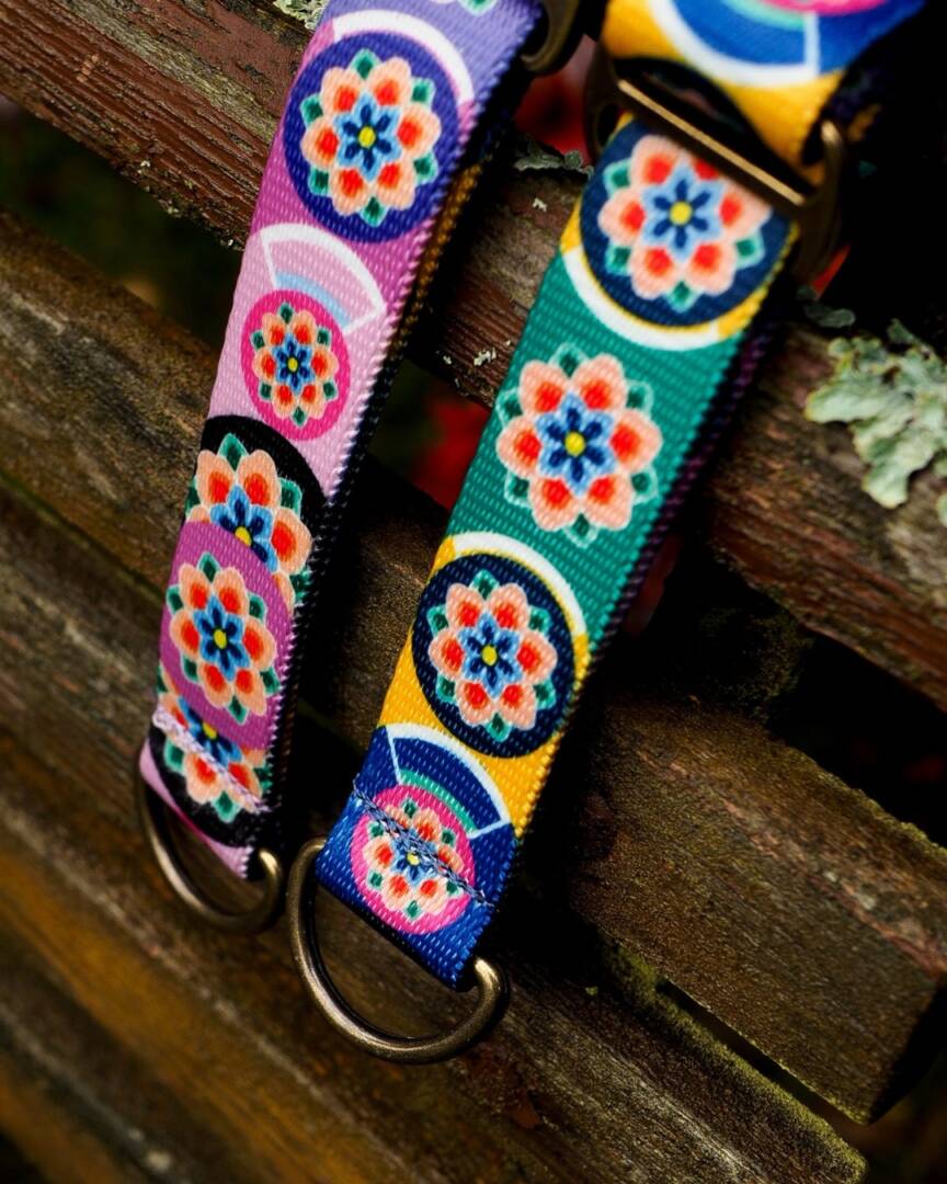 obroża półzacisk seoul harmony lila i granat półzaciskowa obroża seoul harmony granat