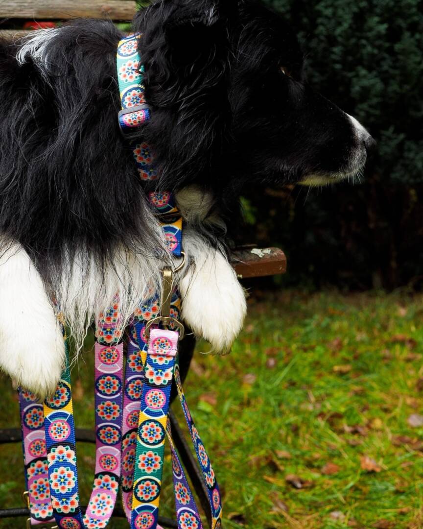 smycz miejska seoul harmony lila