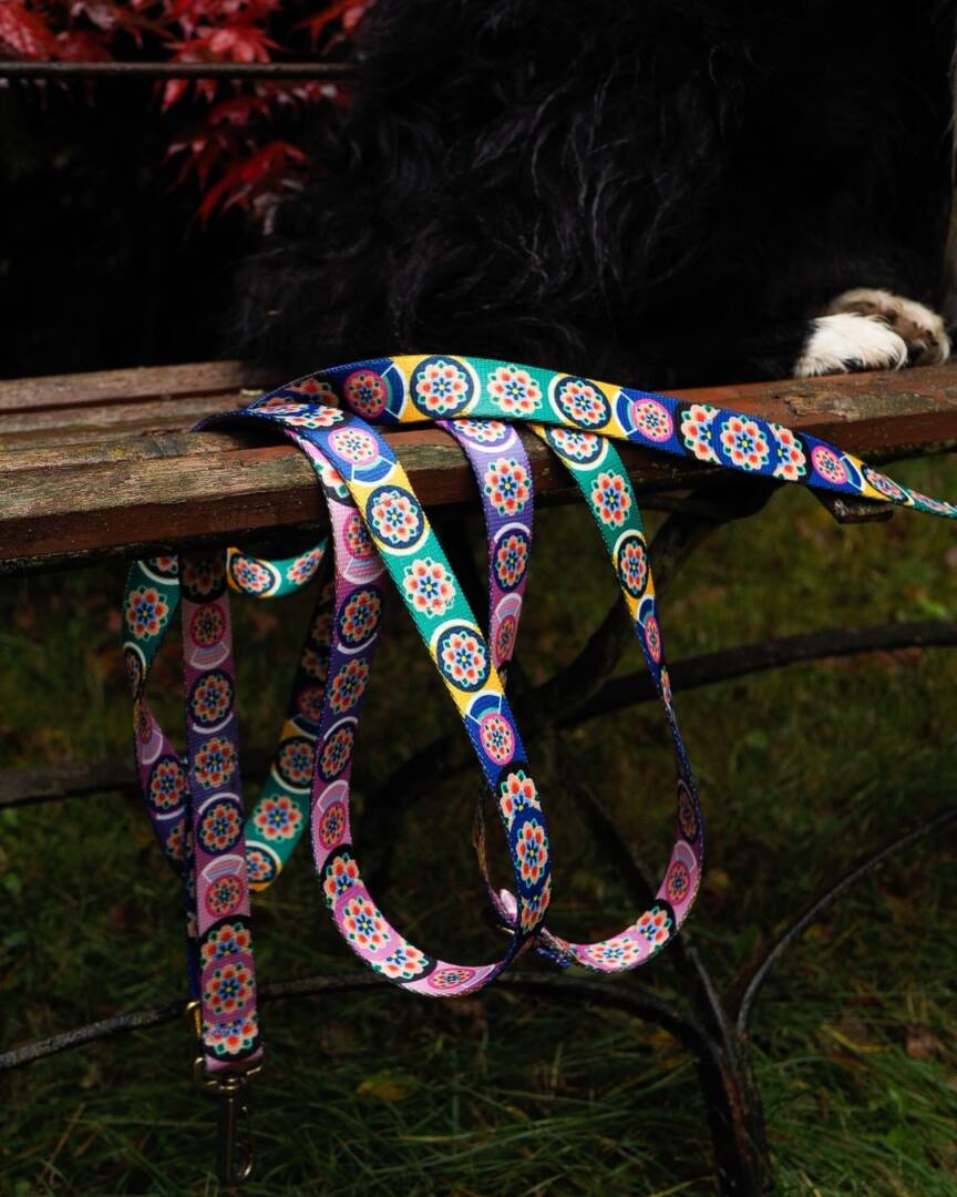 smycz przepinana seoul harmony lila