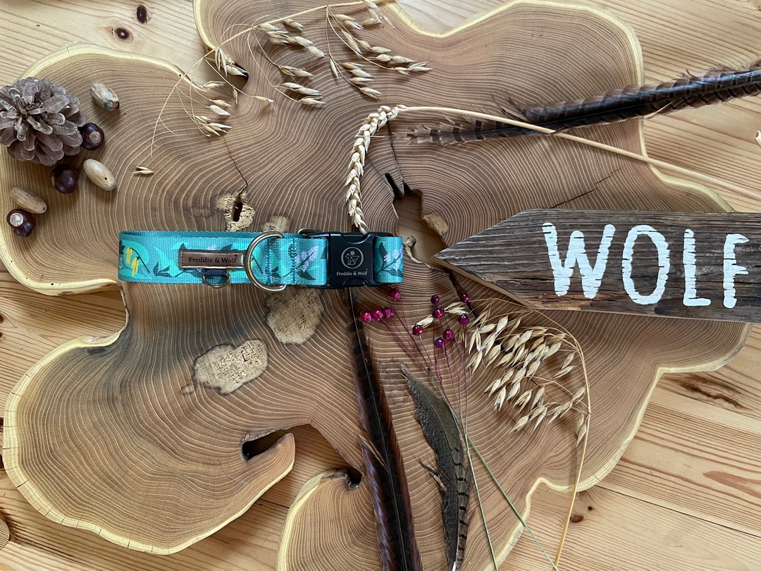 obroża klamra wiosna obroża na klamrę