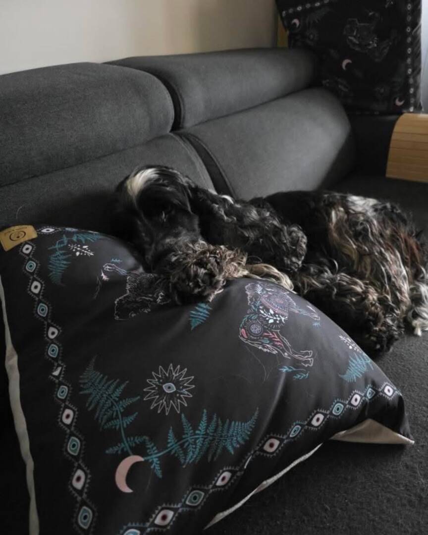 poduszki Żubr Duch Lasu pillows (1) poduszki Żubr Duch Lasu pillows