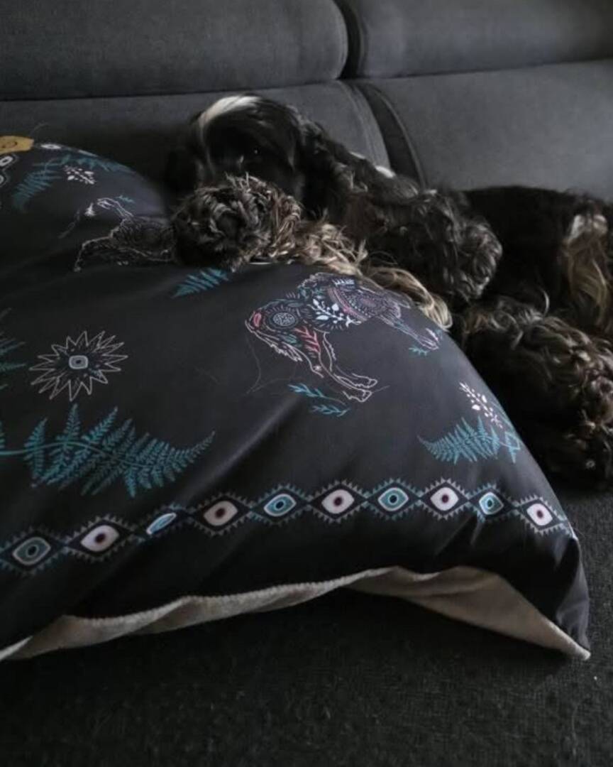 poduszki Żubr Duch Lasu pillows (2) poduszki Żubr Duch Lasu pillows