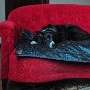 Freddie and Wolf dog matt dla psa mata podróżna