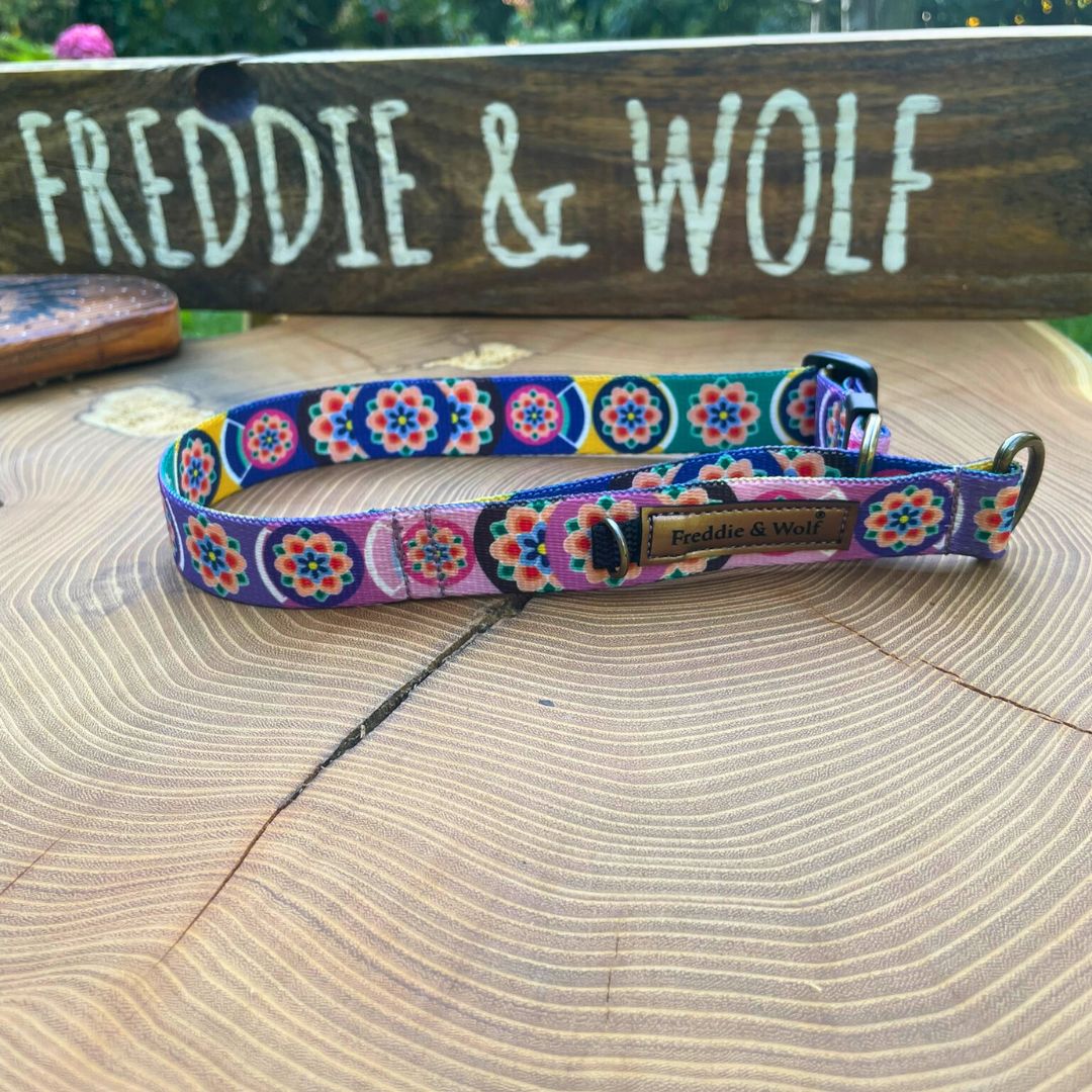 obroża półzaciskowa seul Freddie & Wolf (14) obroża półzaciskowa Seul Freddie & Wolf