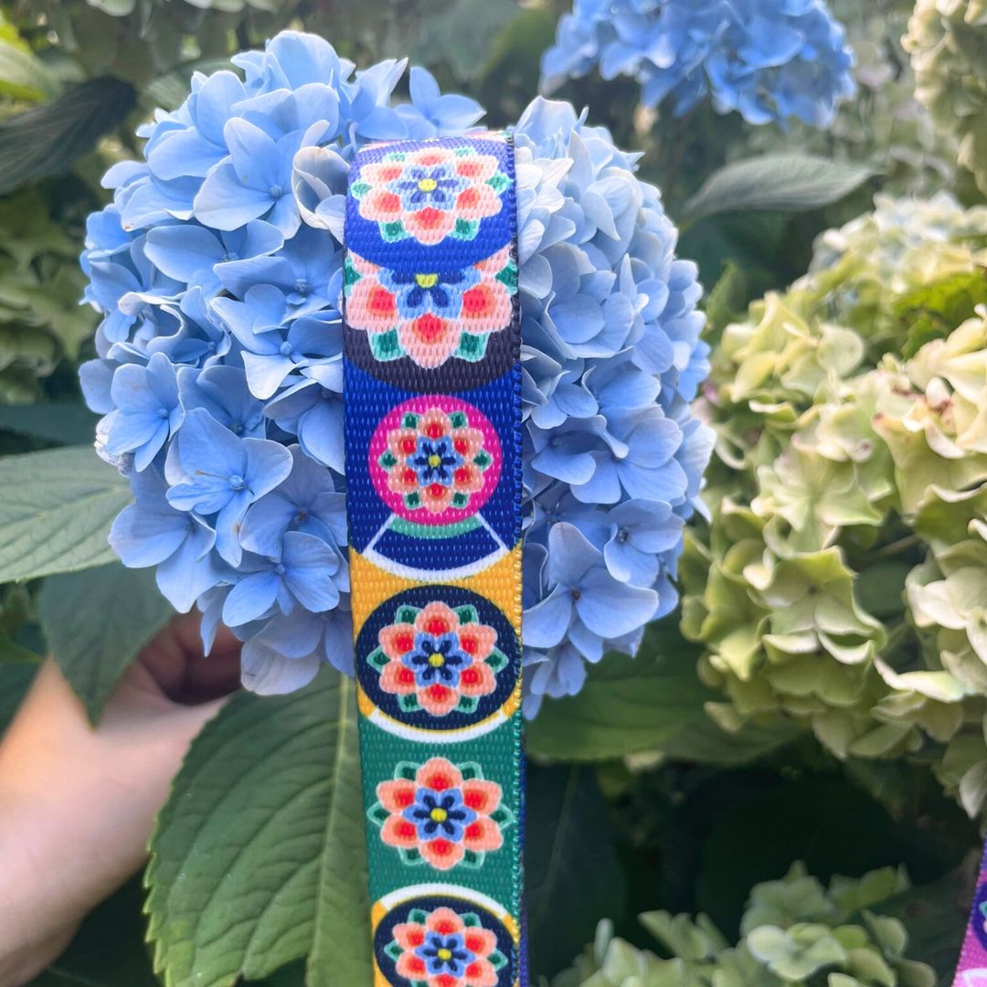 obroża półzaciskowa seul Freddie & Wolf (9) obroża półzaciskowa Seul Freddie & Wolf