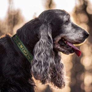 Słowiański las obroża slavic forest collar