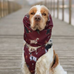 szelki bezuciskowe, snood cocker spaniel magiczne pieski harry potter pressure free harness