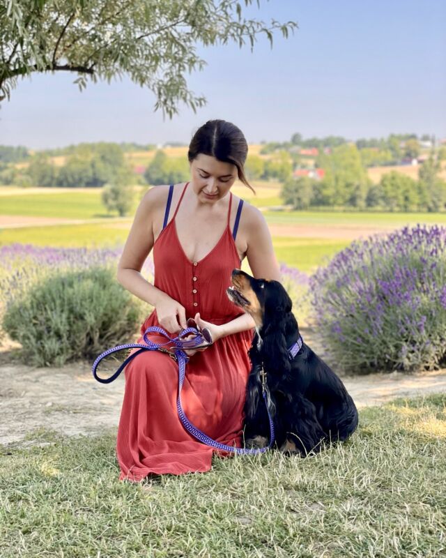 Time passes, but the love you gave us will never fade.🌿🐾💛 

Czas płynie nieubłaganie… Przychodzi kolejna wiosna, świat znów budzi się do życia, a my wciąż szukamy Waszych spojrzeń, czekamy na radosne merdanie ogonów i czasami odruchowo zawołamy po imieniu. 🐶

Odi (14), Fredzio (12), Grace (4) – byliście częścią naszego życia i chociaż wasze ślady już dawno zatarł wiatr, w naszej pamięci są tak wyraźne, jakbyśmy dopiero wczoraj szaleli razem na działce, podkradając dziadziowi świeżo ukiszone ogórki. 🤭

Tęsknota nie mija, ale uczymy się nosić ją inaczej – wśród wspomnień, z uśmiechem spoglądając na zdjęcia i filmiki. Wiosna, choć bez Was inna, przypomina nam o tym, że miłość, którą daliście, nigdy nie przemija. 💖

#freddieandwolf #schowaj_uszy_ #zatęczowymmostem #wiosna #memories #cockerspaniellovers #cockerspanielmoments #cockerspaniellife #doglovers